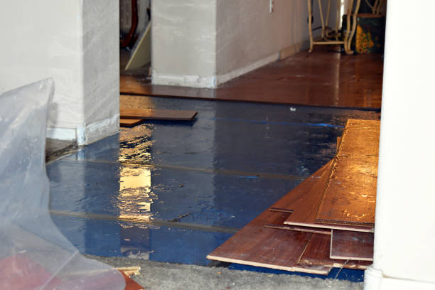 Professional Flood Cleanup technician working in Blue Hill, ME
